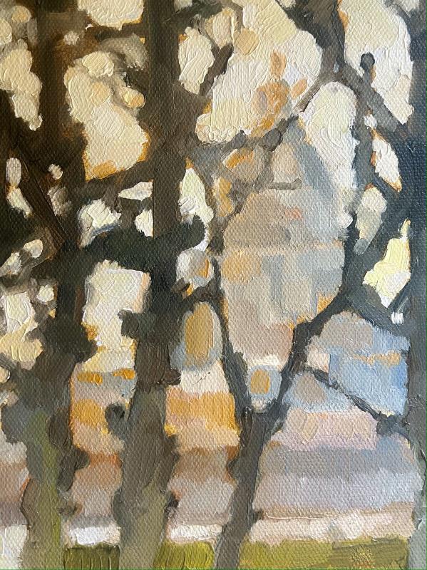 Winter trees, le jardin de Rodin, Paris